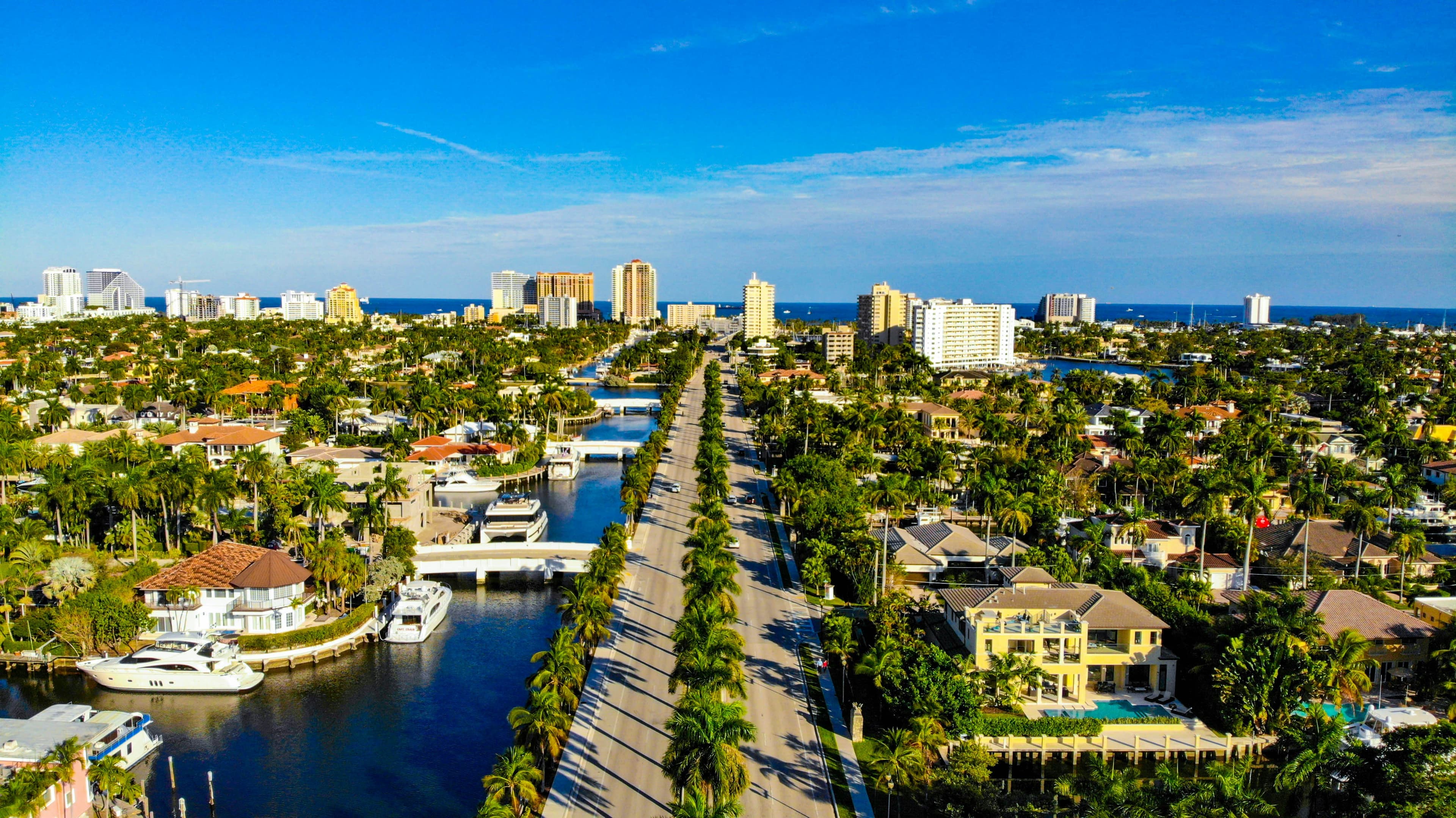 St. Petersburg Florida waterfront with palm trees and downtown skyline